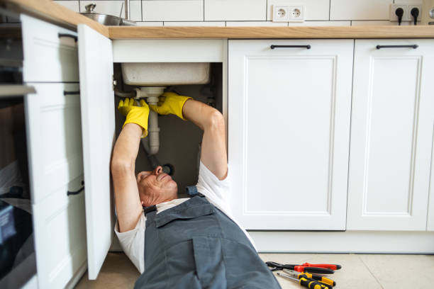 Best Garbage Disposal Repair and Installation  in Leachville, AR